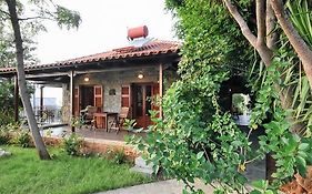 Villa Onar A Stone House With Amazing View